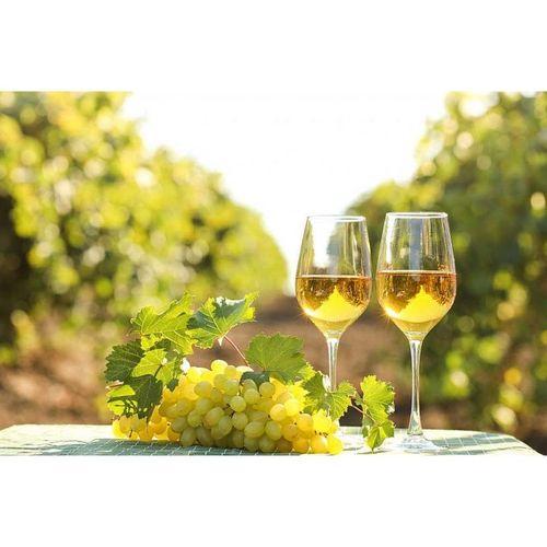 Obrázek Pro milovníky bílého vína